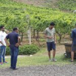 A Unique Wine Tour in Bangalore That You Can't Miss