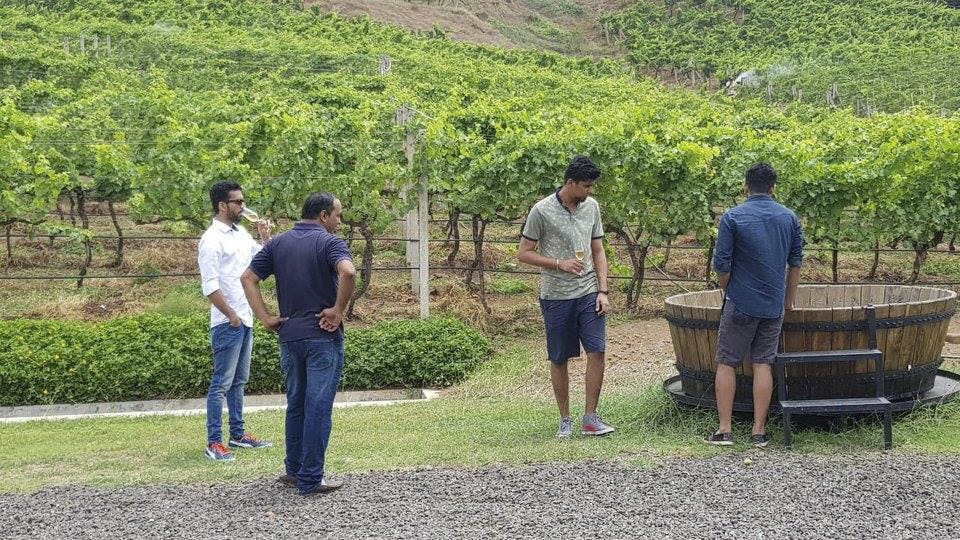 A Unique Wine Tour in Bangalore That You Can’t Miss